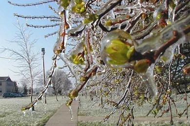 Spring Scenes Wallpapers From Wilstar.com