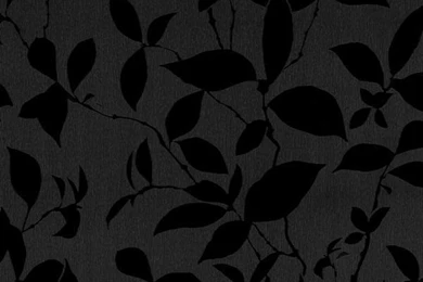 Trésor Reloaded Wallpapers Satin Look Non woven Leaves Black Glossy ...