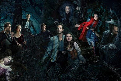 Into The Woods Wallpapers