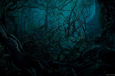 Into The Woods Movie HD Wallpapers   IHD Wallpapers