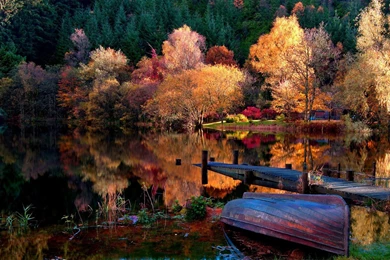 Lake In The Woods Wallpapers   Nature Wallpapers