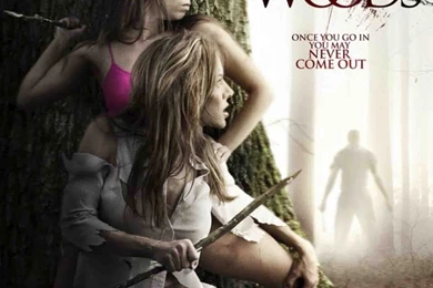 Into The Woods Latest HD Wallpapers Free Download