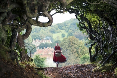 Into The Woods Disney HD Desktop Wallpapers : Widescreen : High ...