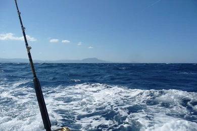 Deep sea fishing – Fowl Play Outfitters