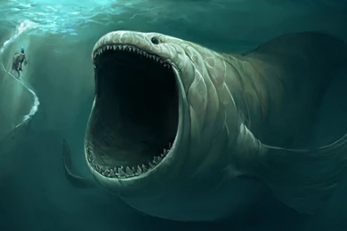 Ocean Fish Wallpapers HD