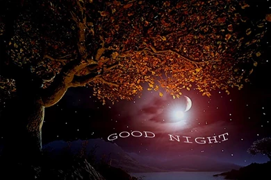 Good Night Wallpapers Free Download For Mobile
