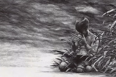 Wolverine Wallpapers By DanielGrzeszkiewicz On DeviantArt