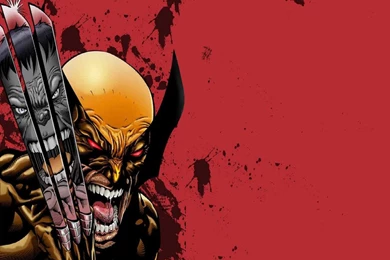 Wolverine Vs Grey Hulk   (