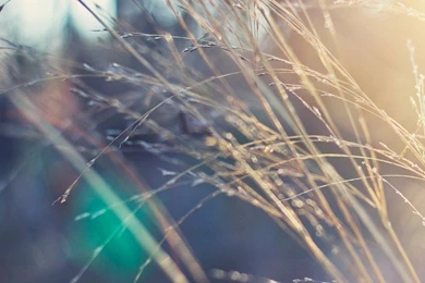 Autumn Beautiful Computer Desktop Wallpapers 47874   Figure