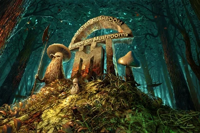 Music Infected Mushroom 1024x622 – 100% Quality HD Wallpapers
