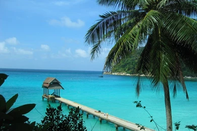 Samsung Wallpapers Hd