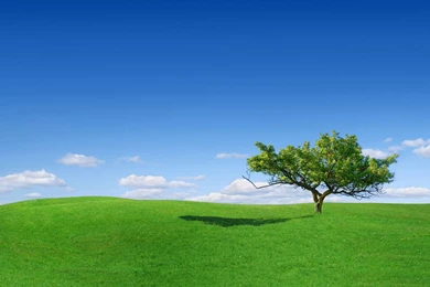 Beautiful Wallpapers For Computer   HD Wallpapers And Pictures