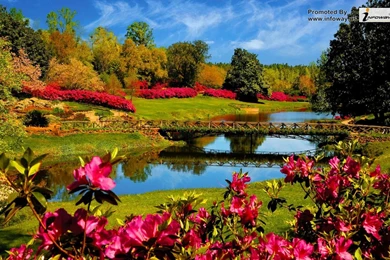 Beautiful Spring Desktop Wallpapers Art Space 1440x900 Wallpapers ...