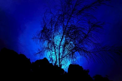 Beautiful Blue Moon Once Upon A Blue Moon... – Nature Other HD ...