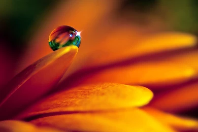 Wallpapers Samsung Tablet Windows Hd 1600x1200