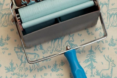 Wallpapers Paint: The Paint Roller That Creates A Wallpapers Look