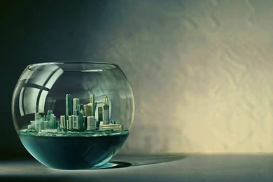 Superb And Beautiful Wallpapers For Desktop – Vote My Photos