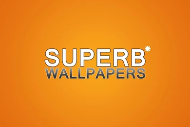 Superb Wallpapers : Desktop And Mobile Wallpapers : Wallippo