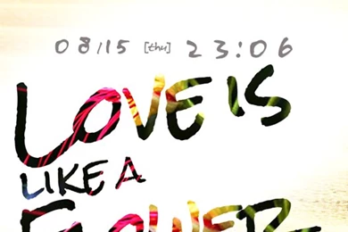 Cute Wallpaper★Like A Flower应用排名和商店数据