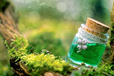 Best 150 Beautiful Nature HD Wallpapers