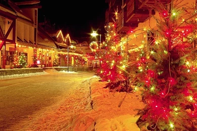 Wallpapers Poze   Simple Pics