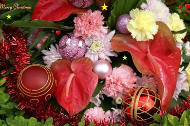 Christmas, Wallpaper, Craciun (