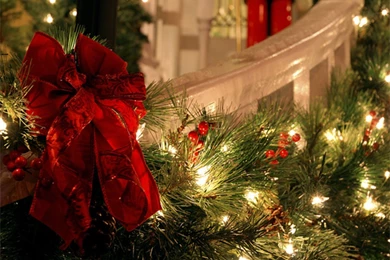 Winter: Winter Snow Time Snowy Nature Trees Free Wallpapers For ...