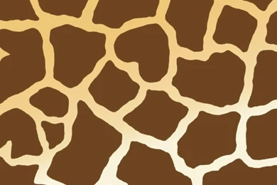 Giraffe Print Border Wallpapers And Backgrounds