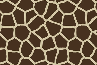 Samsung Galaxy S III, S3 Decal Skin   Giraffe Print