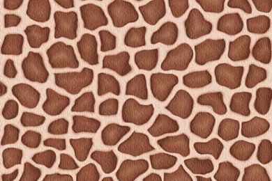 Giraffe Animal Patterns