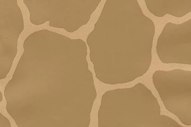 Animal Print Wallpapers