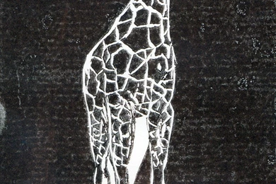 Giraffe Print 3 By Jadedragon456 On DeviantArt