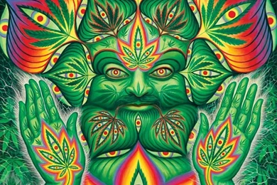 Weed X WallPaper Poster.