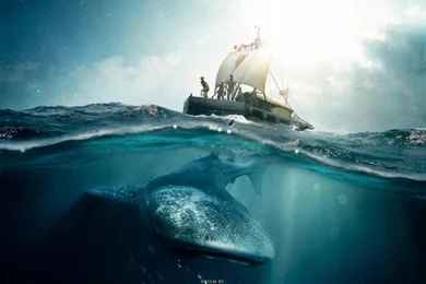 Kon Tiki (2012) Wallpapers