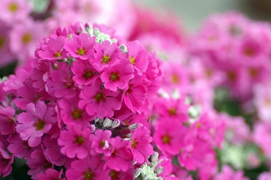 Waterfall Desktop Wallpapers Free On Latorocom