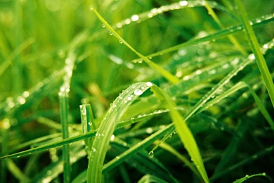 9 HD Backgrounds For Desktop 8.jpg