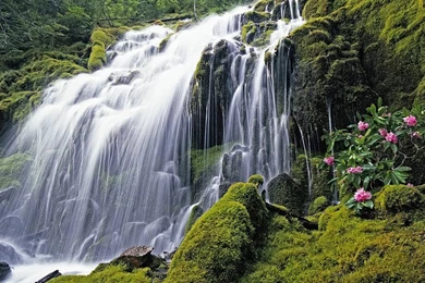 Beautiful Waterfalls: Nature Wallpapers Windows 7