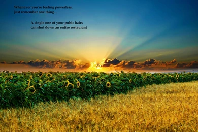 Inspirational Backgrounds Pictures   Wallpapers Zone