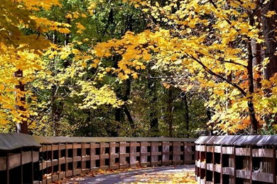 Natural Scenery Wallpapers Free Download