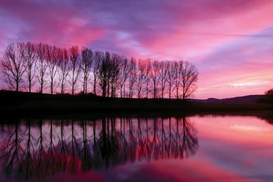 Wallpapers Scenares Scenery Free 1920x1200