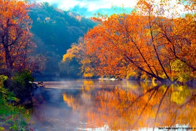 Natural Sceneries Wallpapers For Desktop