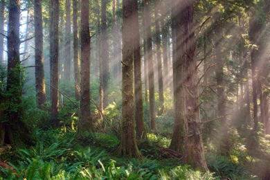 Natural Scenery Wallpapers 4 － Landscape Wallpapers   Free ...