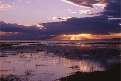 Download Free Natural Scenery Desktop Wallpapers (Part Two ...