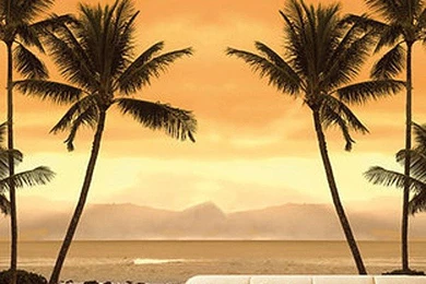 Caribbean Beach Wallpapers Mural   Tropical Sea Feature Wall Decor