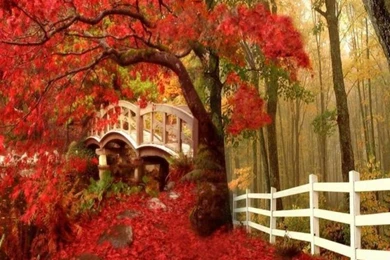 Free Fall Photos For Desktop