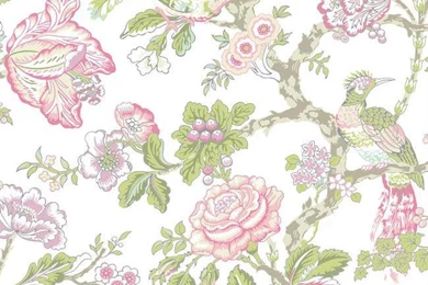 WA7739 Waverly Classics Casa Blanca Rose Wallpapers By York