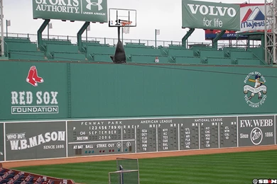 The Celtics Could Play A Game Outside At Fenway Park, Seriously ...