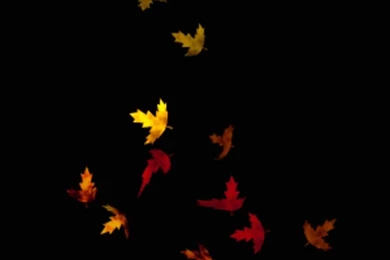 Free Animated Gif Wallpapers Download   Google Search