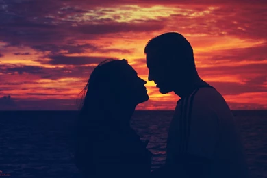 Love Wallpapers HD Free Download For Desktop