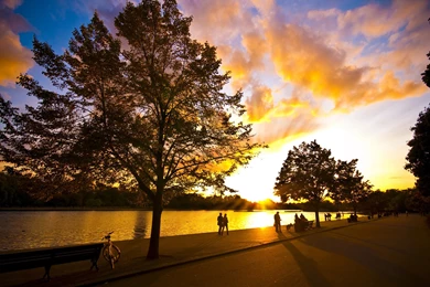 1920x1080 The Sun, The Sky, People, Park, Good Weather, Trees ...